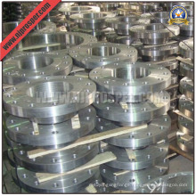 Stainless Steel Welding Neck Flanges (YZF-FZ165)